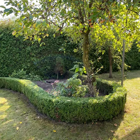 Land - Drewniany Na Wsi * Osiek Maly