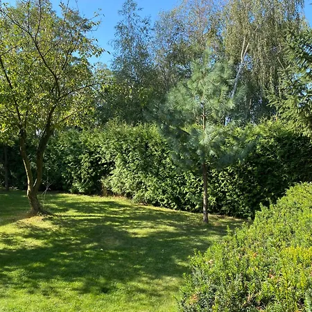 Land - Drewniany Na Wsi * Osiek Maly