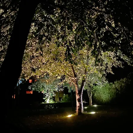 Land - Drewniany Na Wsi * Osiek Maly