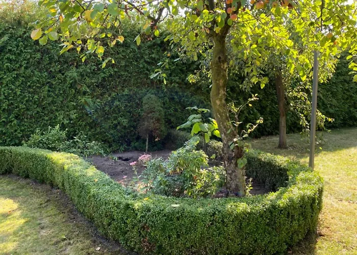 Land - Drewniany Na Wsi * Osiek Maly