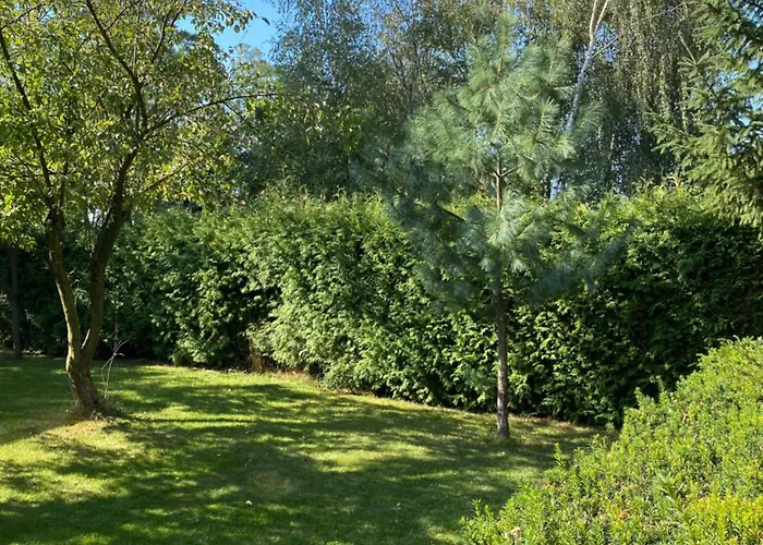 Land - Drewniany Na Wsi * Osiek Maly