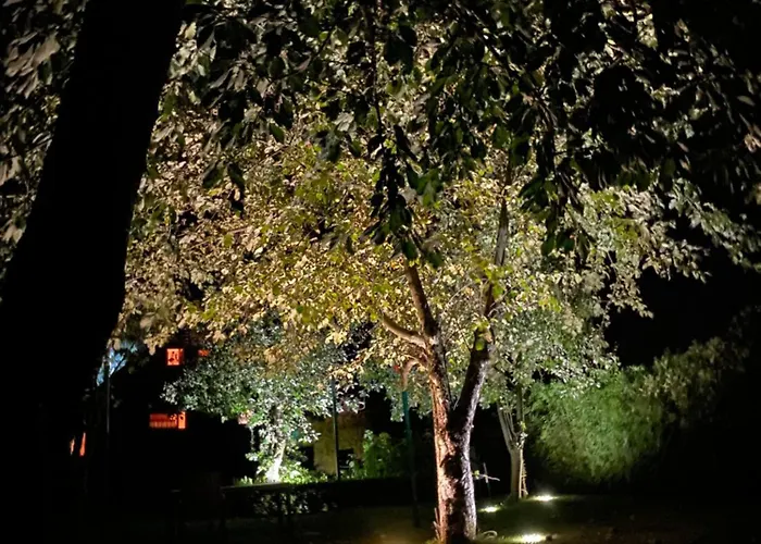 Land - Drewniany Na Wsi * Osiek Maly